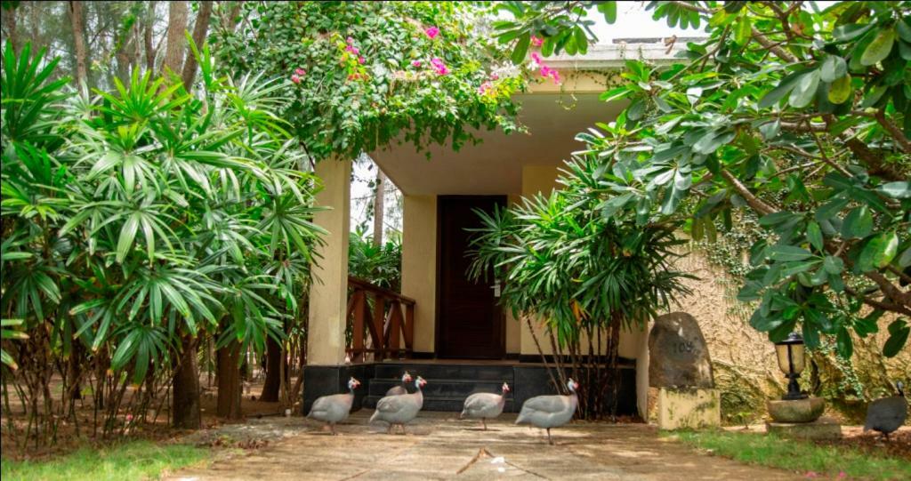 Ocean Spray Hotel Kālapettai Exterior foto